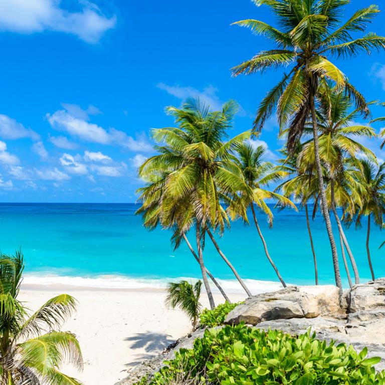 esl travel english barbados hero