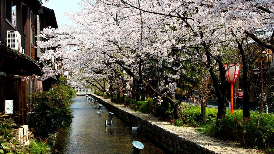 Genki-Japanese-and-Culture-School-School-Gallery-12-city