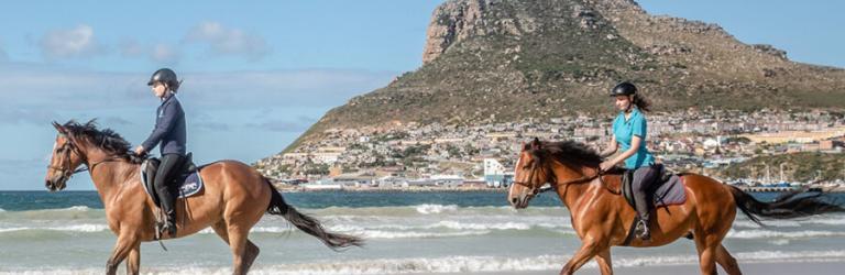 Horses